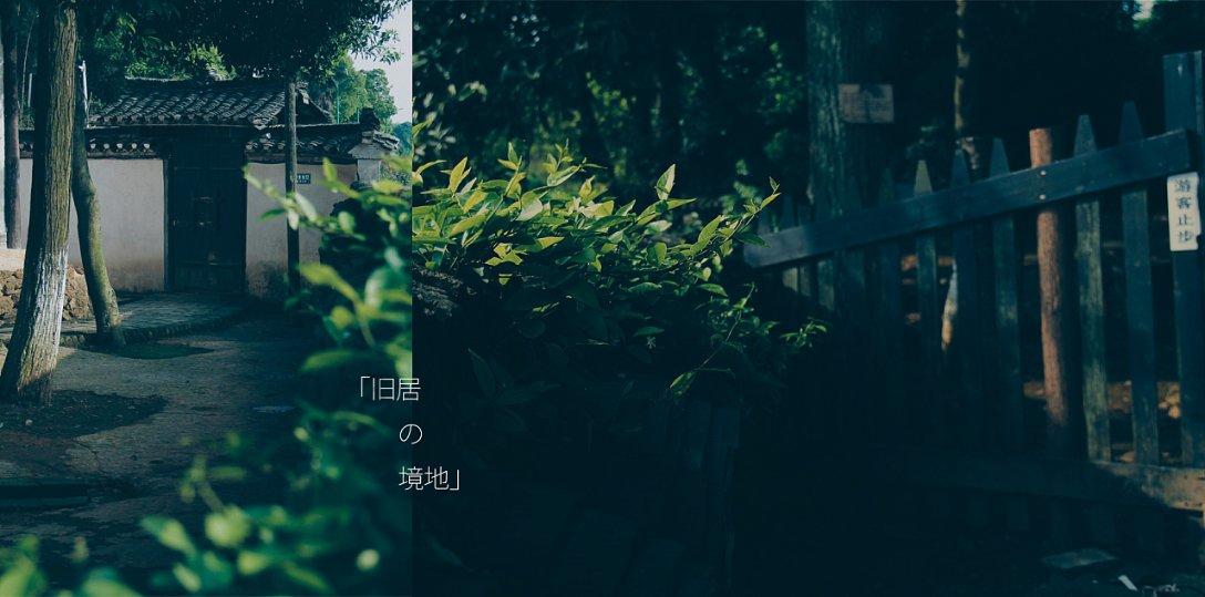驱灵师